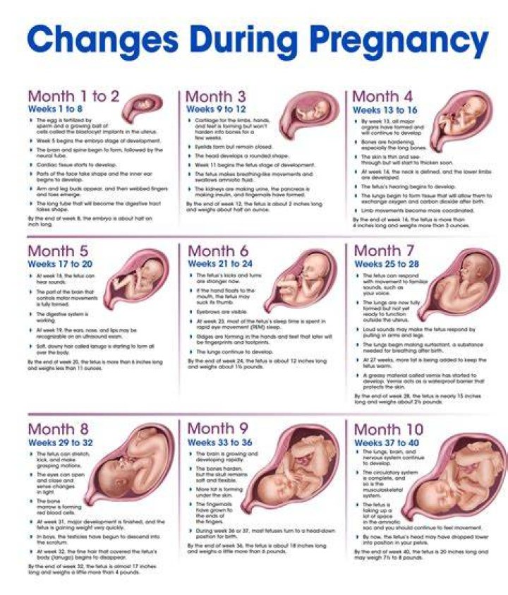 Miranda Lambert's Pregnancy Journey Revealed